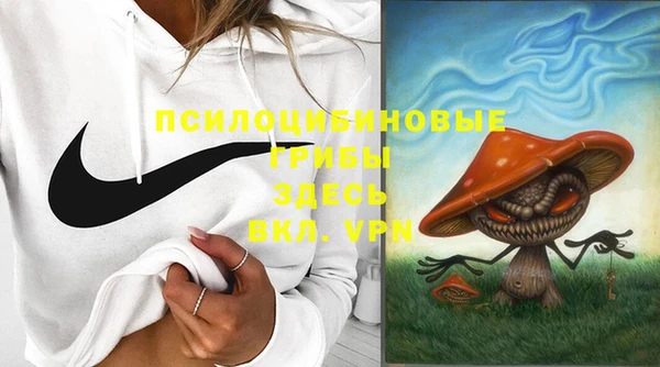 mdpv Гусь-Хрустальный