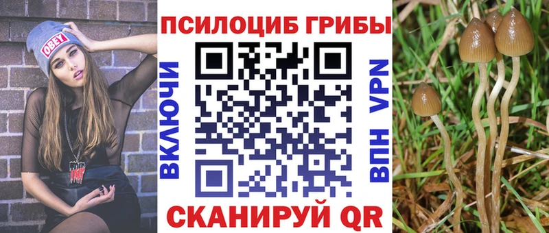 Псилоцибиновые грибы ЛСД  Купить закладки  Шахты 